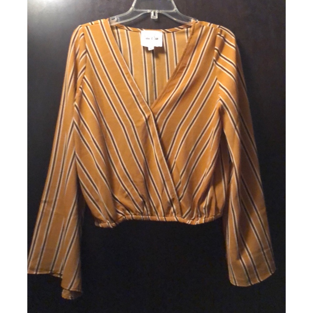 Long sleeve cropped blouse